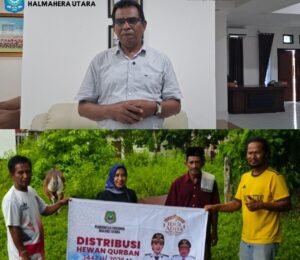 Wabup Halut Apresiasi Gubernur Sherly Laos atas Bantuan Hewan Kurban
