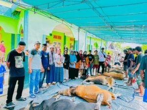Semangat Idul Adha, Masyarakat Orimakurunga Kurban Belasan Sapi Secara Swadaya